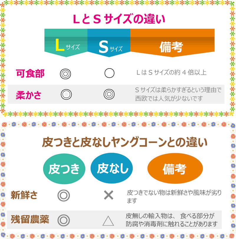 ヤングコーン 大きな　サイズ　業務用　岡山　ひるぜん農園