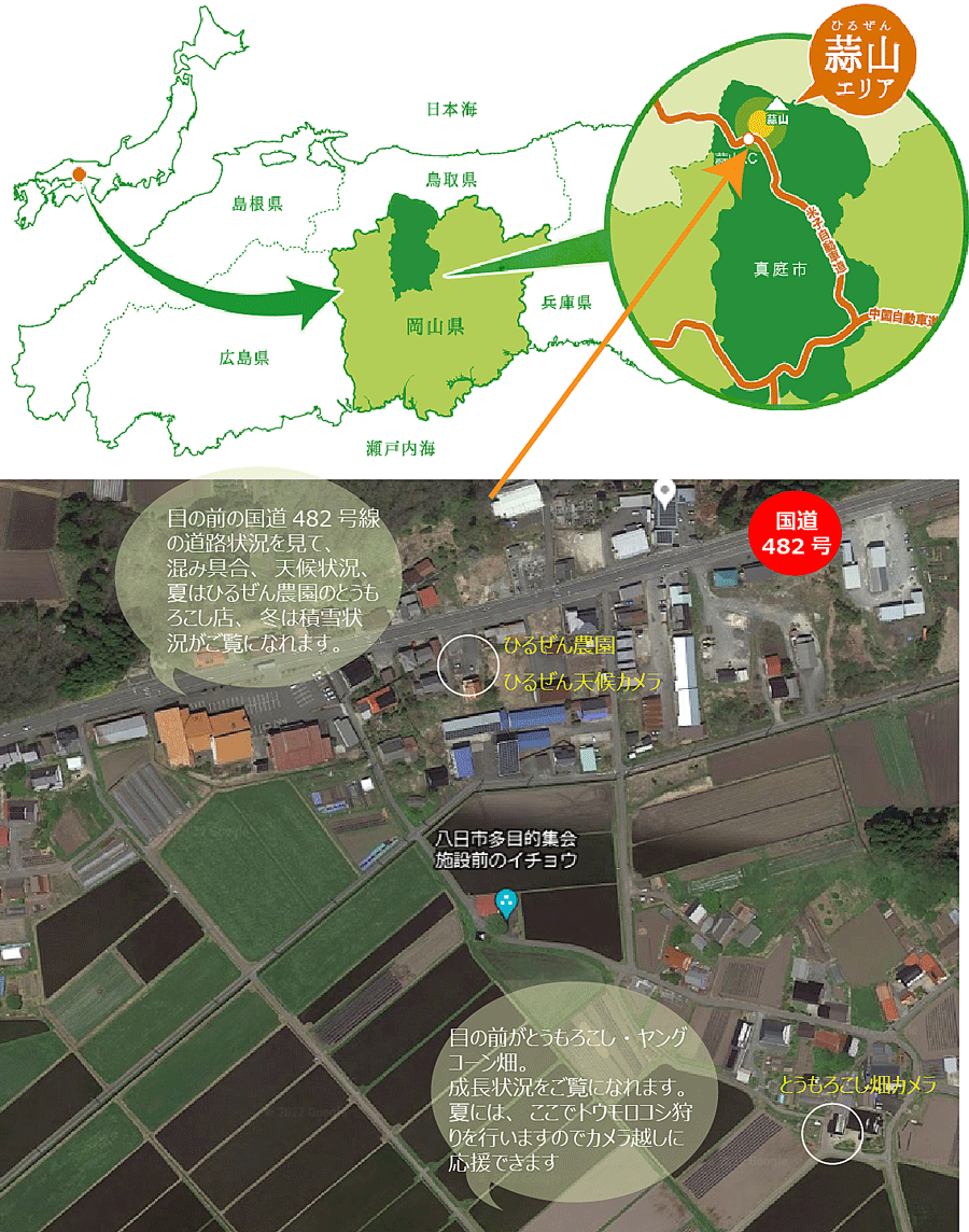 岡山 真庭 観光 ひるぜん ライブカメラ　蒜山 国道482 とうもろこし畑　とうもろこし直売店