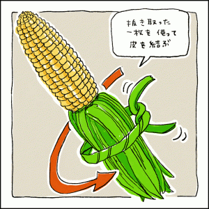 롼Υȥ󥹥ڡ Ȥǥ  Ҥ뤼