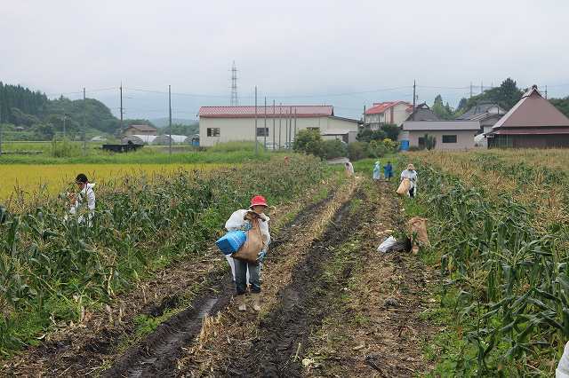 イートイン 岡山 ひるぜん農園 とうもろこしガーデン